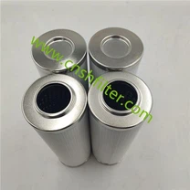 Ganti Elemen Filter Internormen 01.NL400.10VG.30.SP